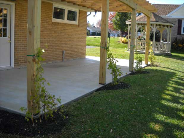 Outdoor Patio Trellis with Plants